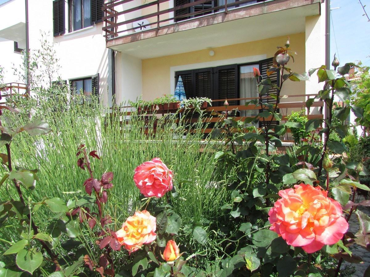 Mirela House With Apartment Umag Exterior foto